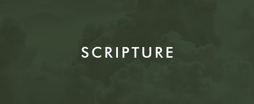 Week 5 Scripture Week 5 Scripture